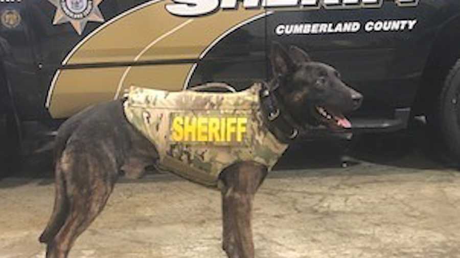 A K-9 with the Cumberland County Sheriff's Office is better protected thanks to a donation from a New England nonprofit.