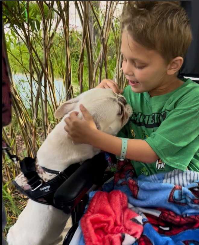 Brewers honor 8-year-old injured in Highland Park shooting