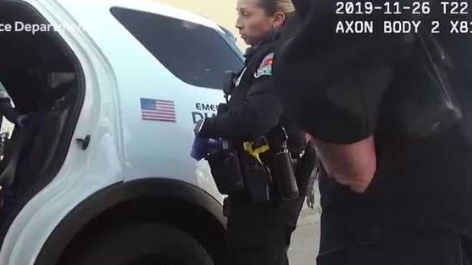 police car arrest