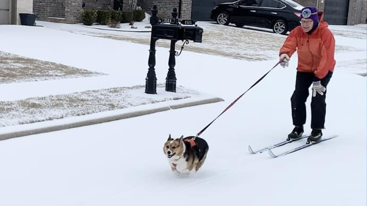 Northwest Arkansas and River Valley ice, sleet & snow photos