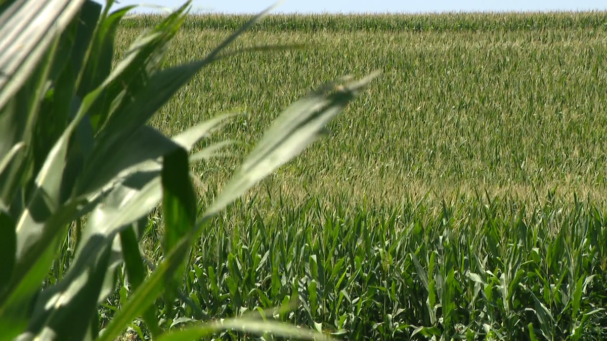 'Breadbasket of the world': Sen. Pete Ricketts hopeful amid Nebraska GDP report