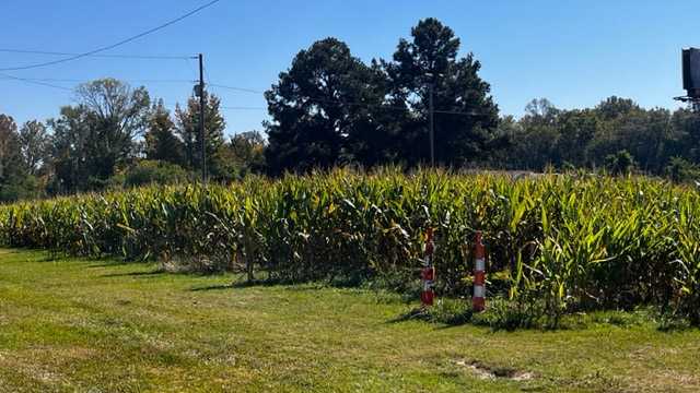 Halloween haunts still happening in Brandon, despite Dark Zone fire