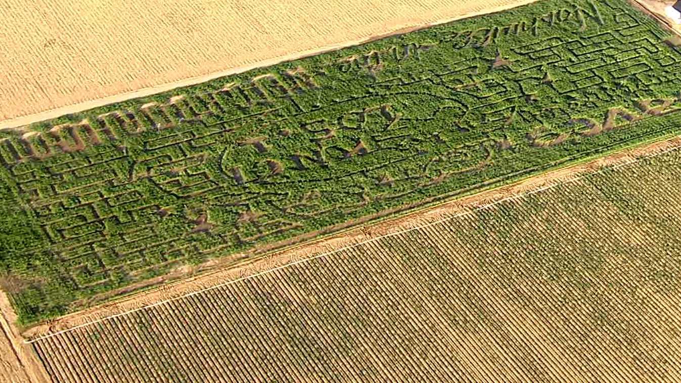 Corn maze shop sacramento