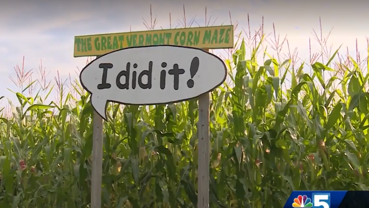 Great Vermont Corn Maze in Danville ranked as one of the best in the nation