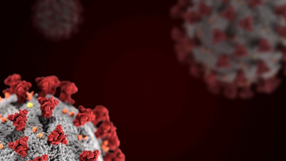 New DHHS report reveals more demographic information about COVID19