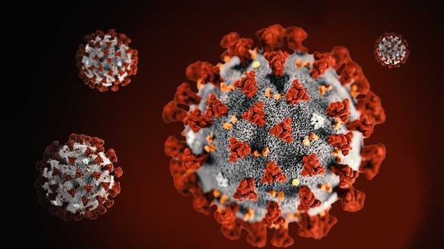 Maine surpasses 6,000 total coronavirus cases with 38 additional cases reported Wednesday - WMTW Portland