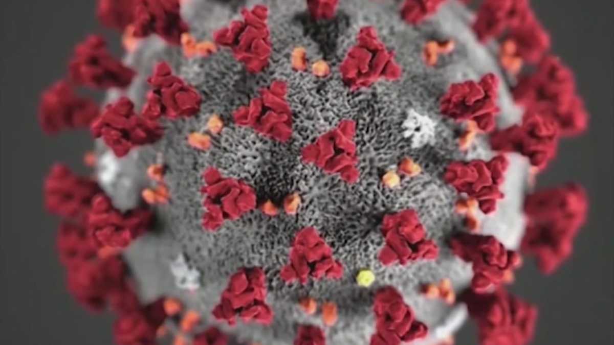 How what we know about the coronavirus has changed