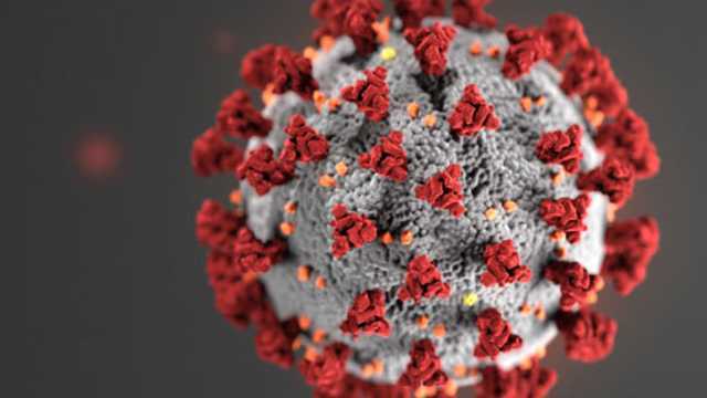 New coronavirus variant found in Monterey County, several other California counties - KSBW Monterey