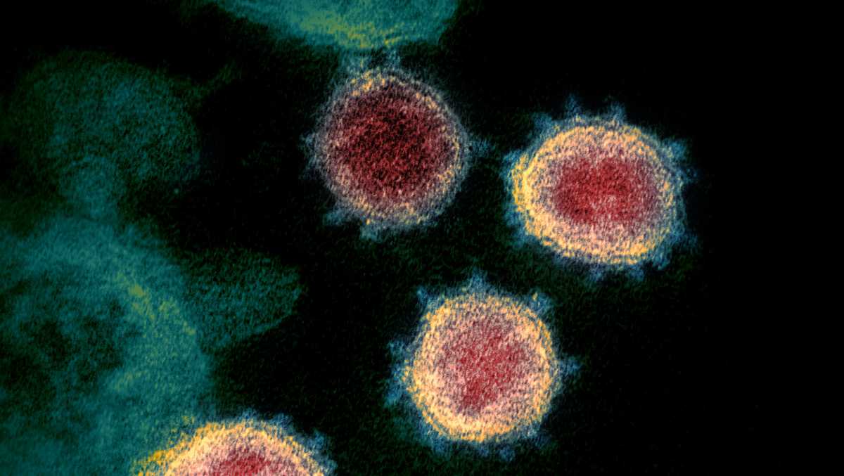 Maine CDC reports three new coronavirus-related deaths, 249 new cases - WMTW Portland
