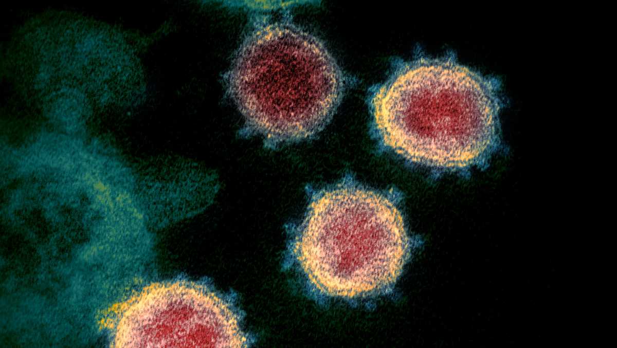 Photo of Maine CDC hlási ďalších 20 prípadov koronavírusu, 29 nových prípadov zotavenia