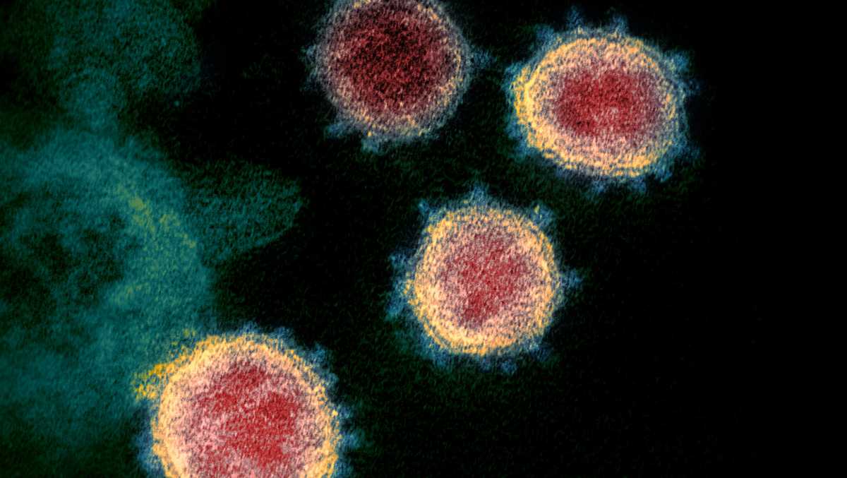 Photo of Maine CDC hlási 407 nových prípadov koronavírusu, žiadne nové úmrtia