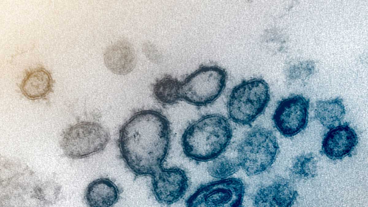 Sacramento COVID-19 vaccine trial needs more participants - KCRA Sacramento thumbnail
