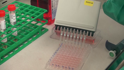 Coronavirus Testing