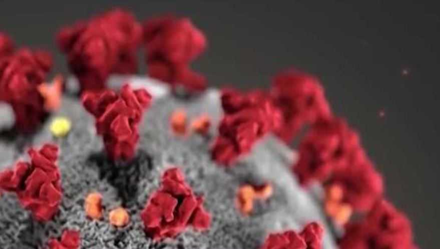 Arkansas Has Biggest 1 Day Jump In Virus Cases Since March Arkansas Has Biggest 1 Day Jump In Virus Cases Since March