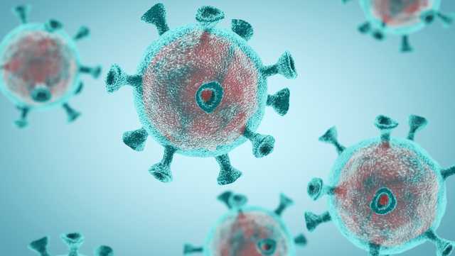 Ohio medical experts encouraged by decreasing COVID-19 case numbers, hospitalizations - Vimarsana News