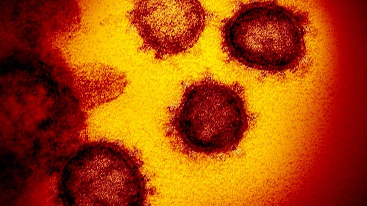 Maine doctors concerned about rise in COVID-19 cases WMTW Portland ME - WMTW Portland