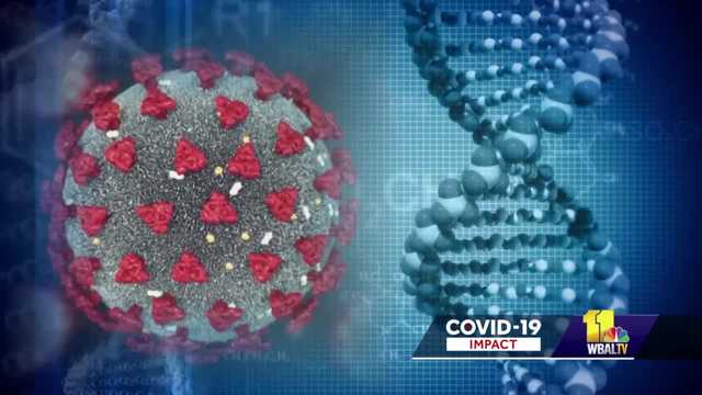 Know the latest COVID-19 strains, symptoms, vaccine timeline - Vimarsana News