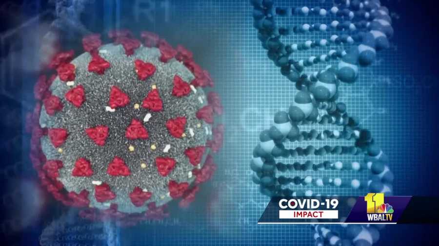 covid-19, coronavirus