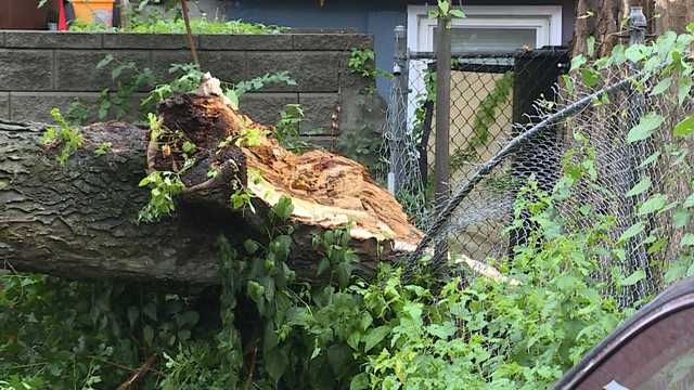 Covington cleaning up debris after heavy rain, gusty winds blow through - Vimarsana News