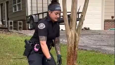 VIDEO: Springville police officers rescue coyote pup stuck in tree