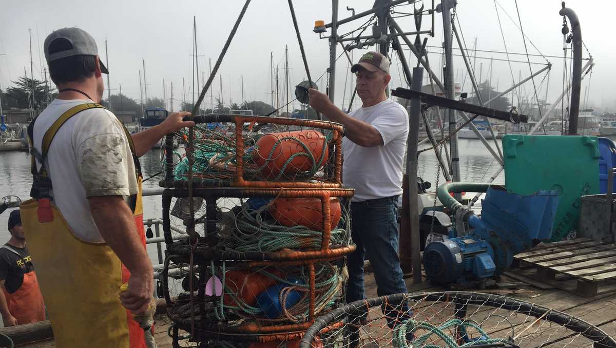 Moss Landing crab fishermen prep for commercial opener