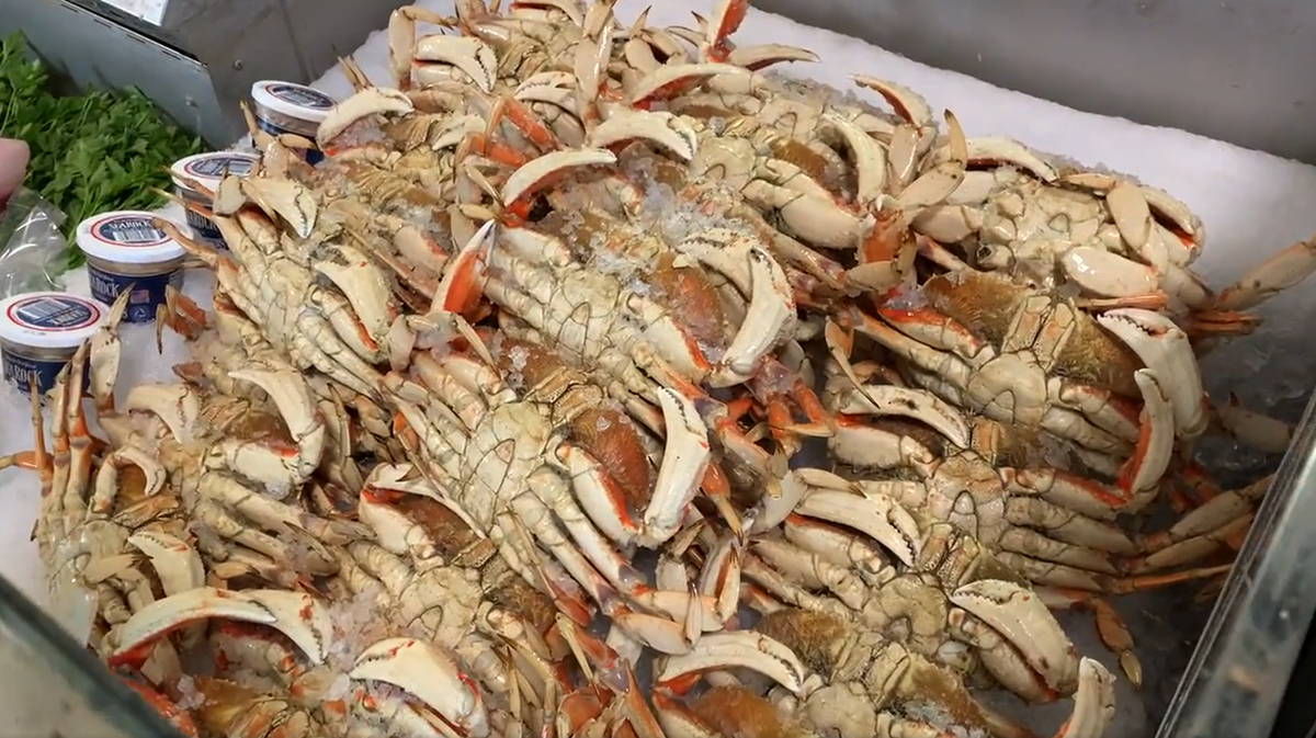 Dungeness crab fishing season approved to start on the Central Coast