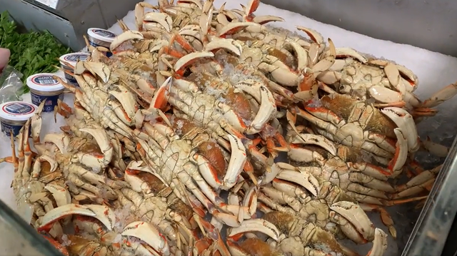 Dungeness crab fishing season approved to start on the Central Coast - Vimarsana News