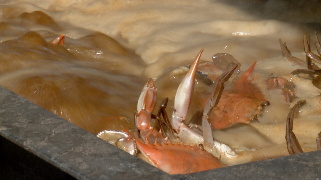 St. Tammany Crab Festival returns to Slidell after two years