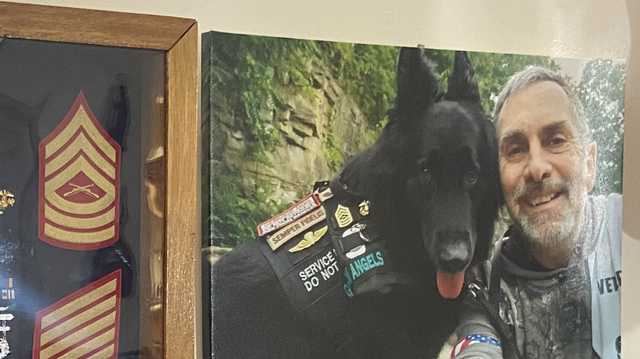 Service dogs for veterans: Fundraiser at Pittsburgh's Schenley Plaza - Vimarsana News
