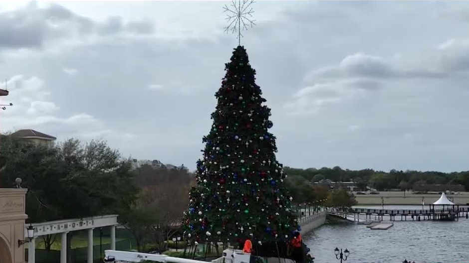 Storm prep Crews tear down Christmas tree in Cranes Roost Park