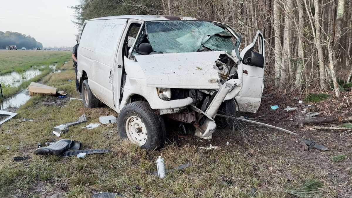 Georgia: Van goes off road, strikes tree on I-95, driver killed - WJCL