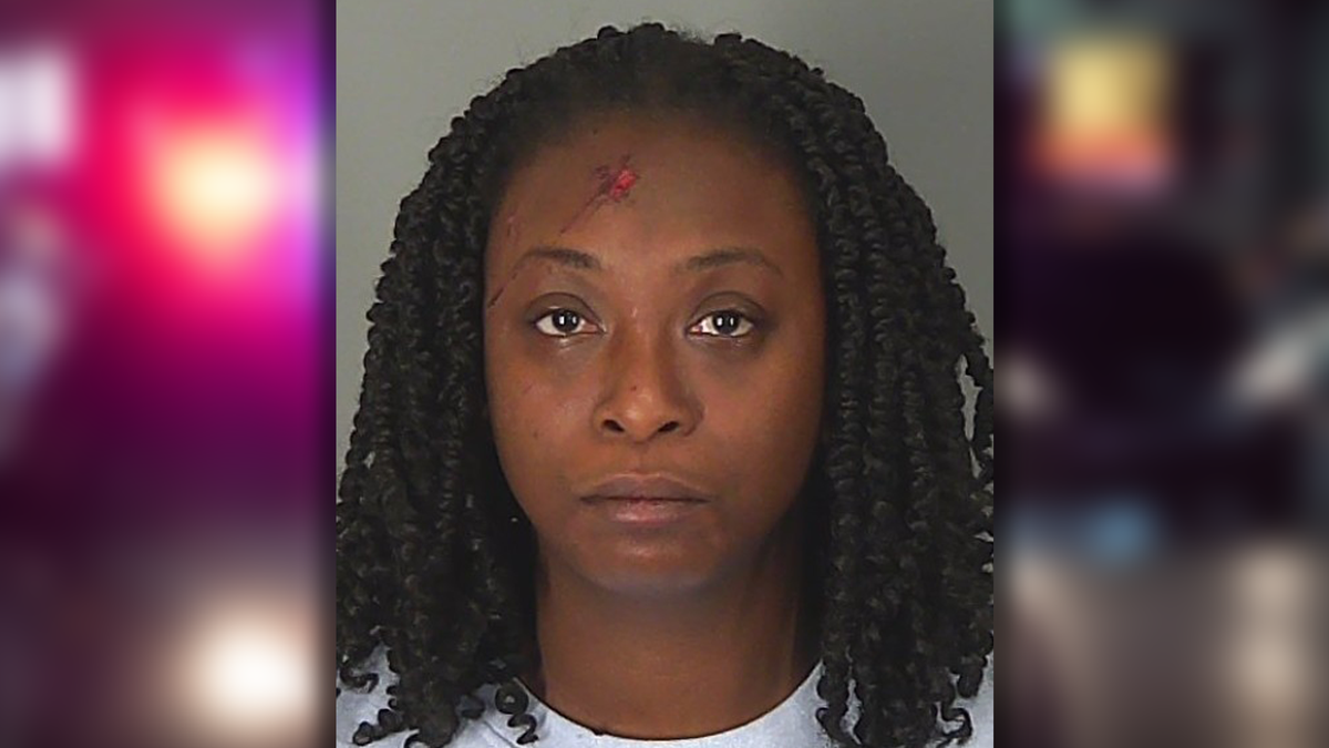 South Carolina woman charged with DUI after 8-year-old killed, troopers say