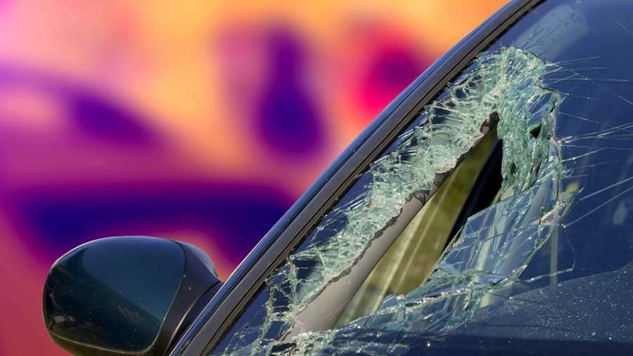 South Carolina: Driver killed after hitting fence, tree in crash