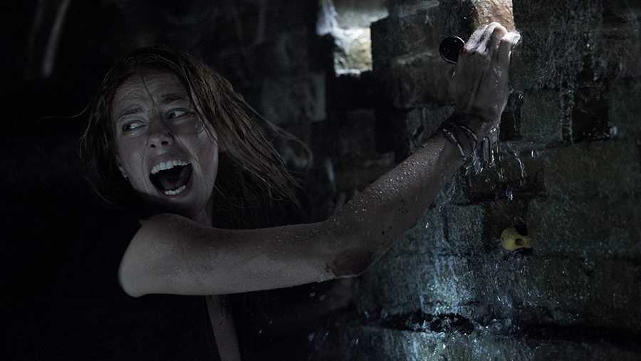 Regarder the crawl