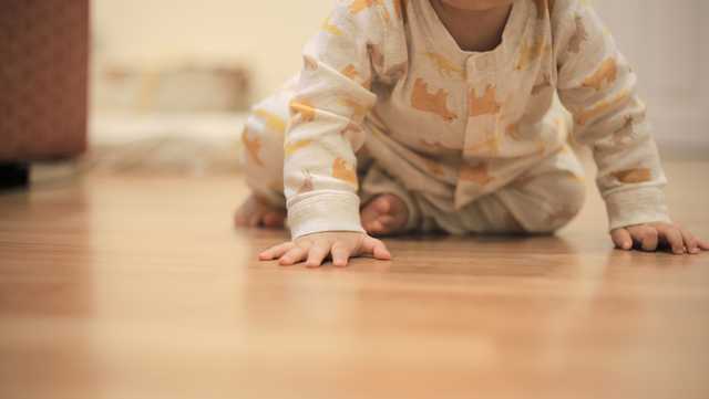 Parents beware: Dangerous, recalled toys are still on sale - Vimarsana News