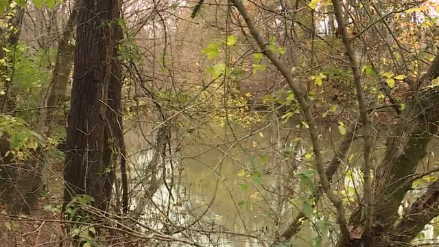 Verona man dives into dangerously cold water to help victims of airboat crash on Ohio River tributary - Vimarsana News