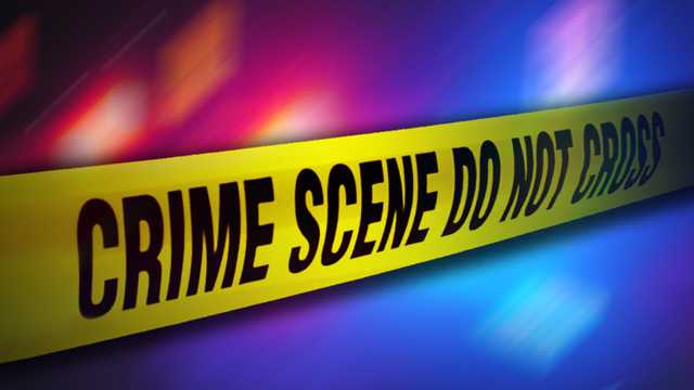 Georgia: Teenager killed, brother critically injured in ATV crash - Vimarsana News