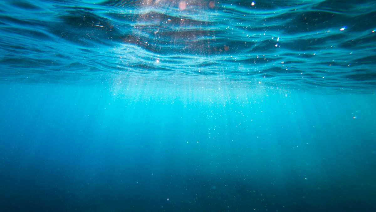 South Carolina 1yearold drowning death