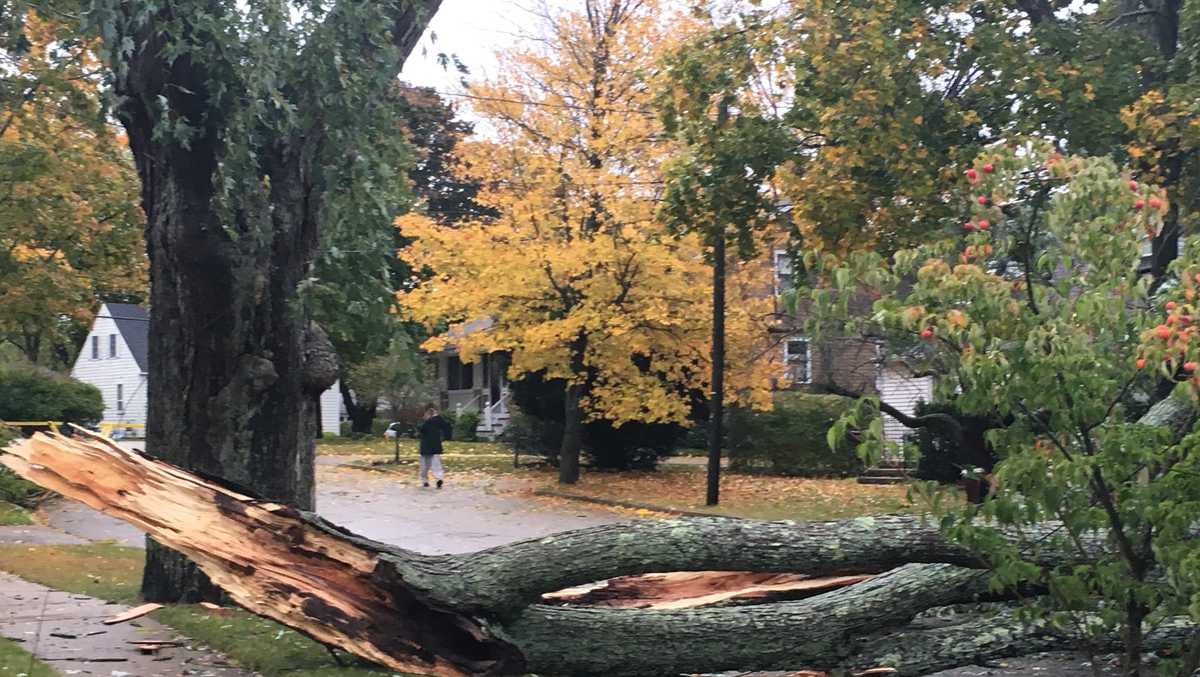 Nor’easter impacts for NH 60,000 power outages, roads closed