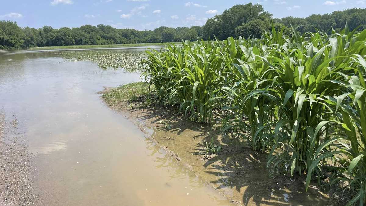 Crops in Mass. destroyed by floodwaters, farmers in need of help