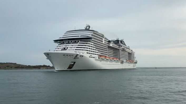 Woman dies after falling from cruise ship returning to Florida - Vimarsana News