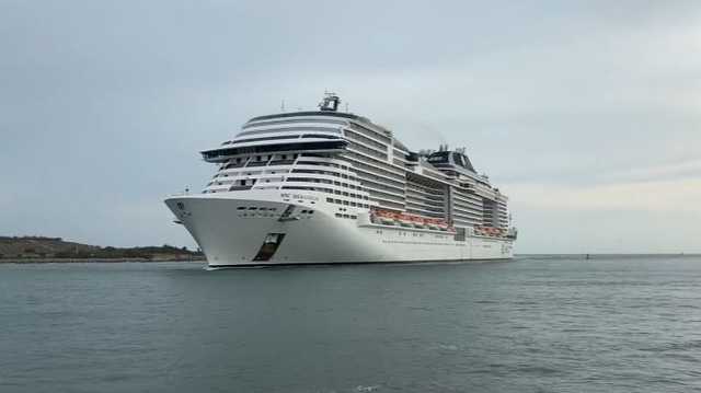 Woman dies after falling from cruise ship returning to Florida - Vimarsana News