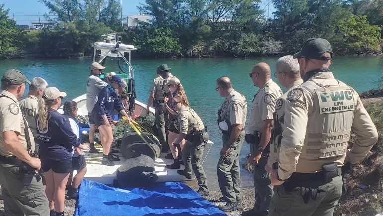 SeaWorld releases Florida manatee from rehabilitation