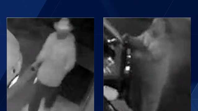 Thieves use pickup truck to lift a car; steal catalytic converter - Vimarsana News