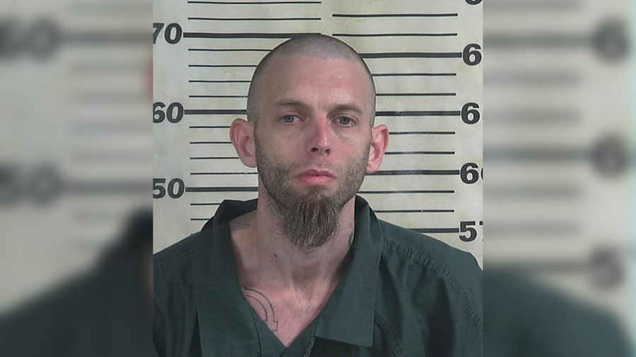 Man arrested for stealing car found in possession of drugs, illegally