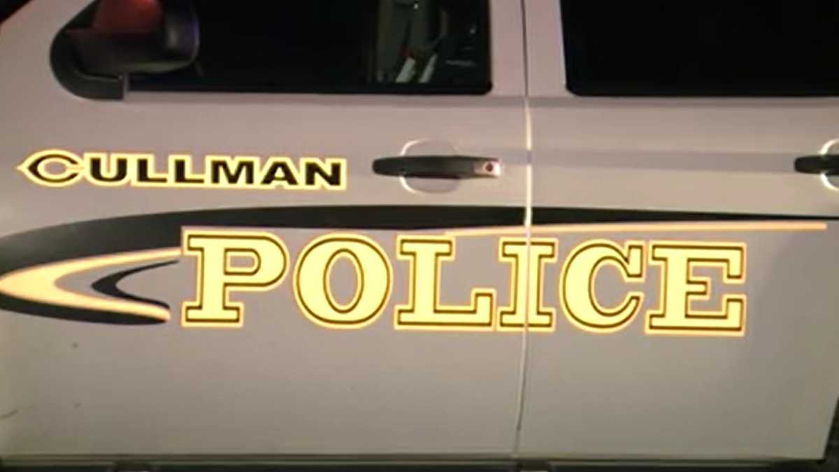 South Carolina man charged with attempted murder in Cullman grocery store stabbing