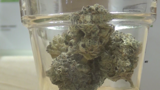 Pot company announces plans to close 3 Massachusetts dispensaries - Vimarsana News