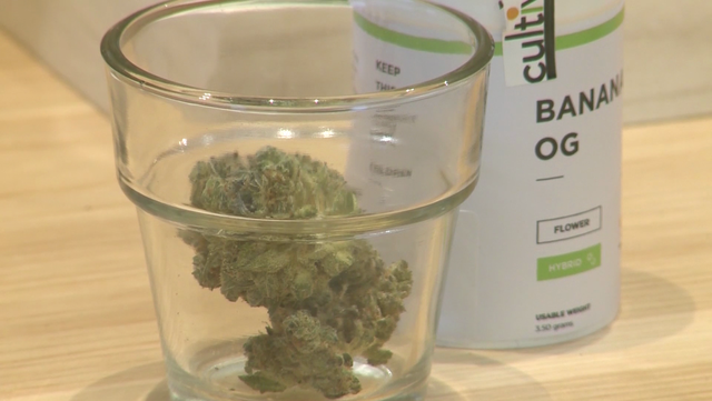 Maine recreational marijuana sales double in January compared to rollout month - Vimarsana News
