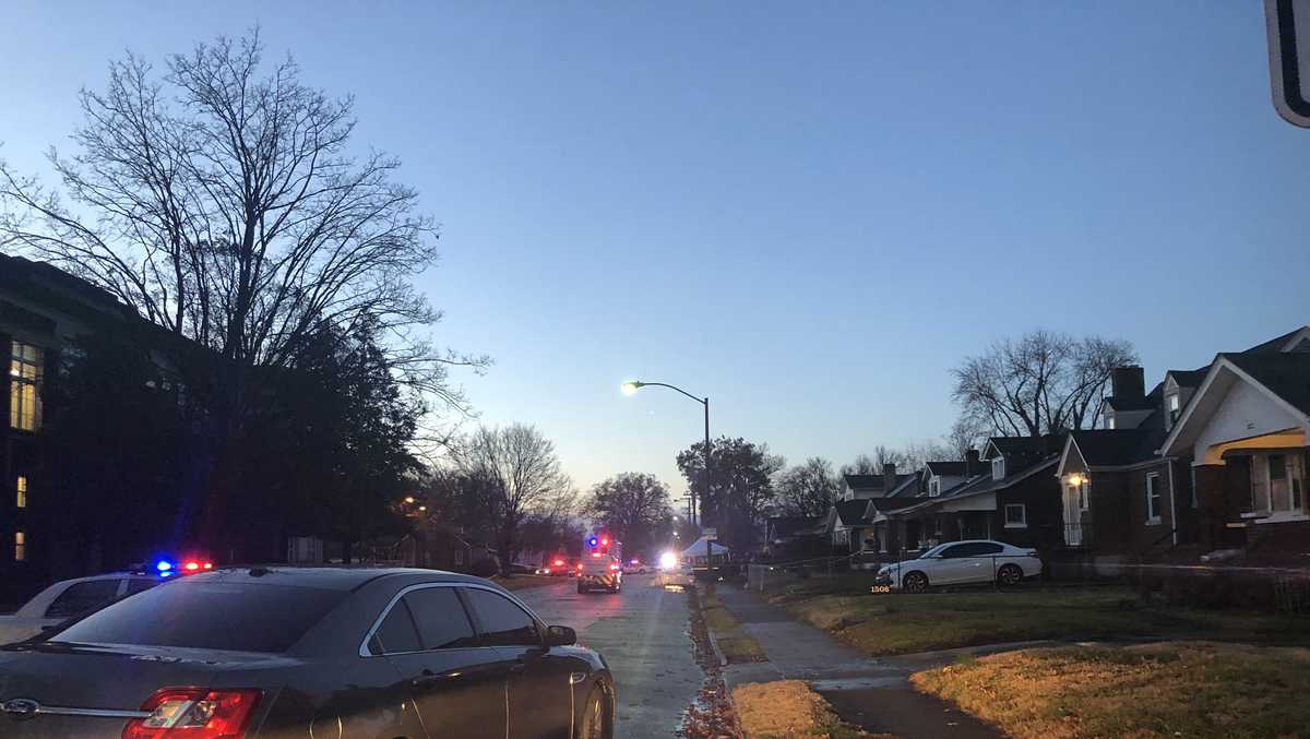 Coroner identifies woman found fatally shot on sidewalk in Park Duvalle