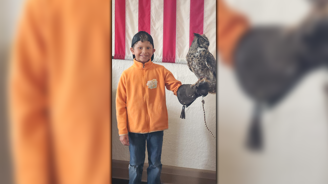 Roseville parents return to court after 9-year-old son's death - Vimarsana News